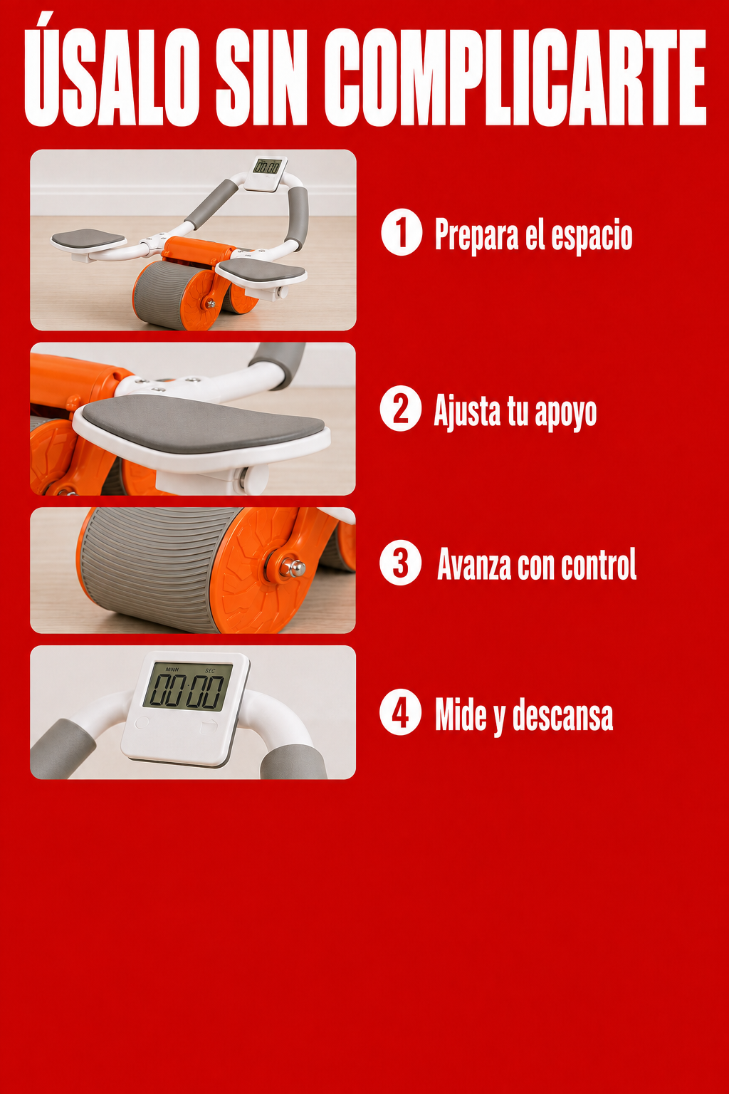 Rueda abdominal ZR-818: Uso paso a paso. Vista ilustrativa del equipo.
